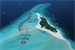 Cocoa Island Resort